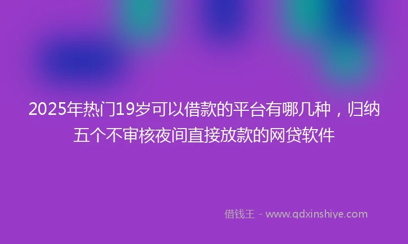 2025年热门19岁可以借款的平台有哪几种，归纳五个不审核夜间直接放款的网贷软件