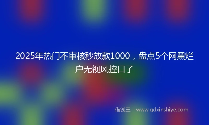 2025年热门不审核秒放款1000，盘点5个网黑烂户无视风控口子