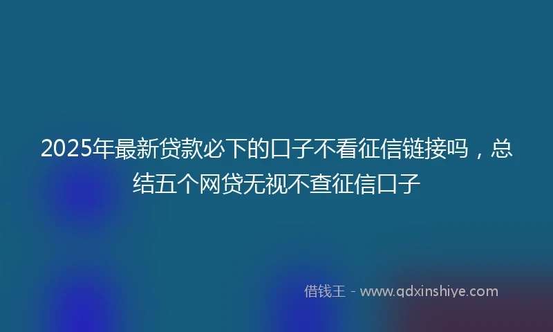 2025年最新贷款必下的口子不看征信链接吗，总结五个网贷无视不查征信口子