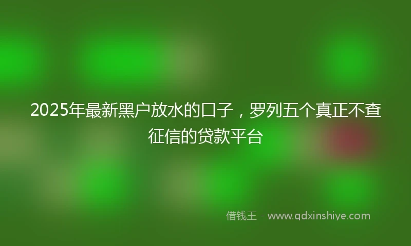 2025年最新黑户放水的口子，罗列五个真正不查征信的贷款平台