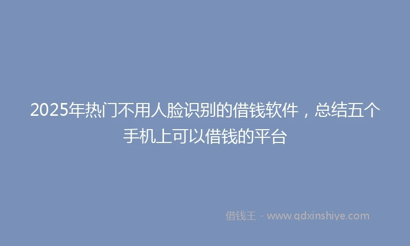 2025年热门不用人脸识别的借钱软件，总结五个手机上可以借钱的平台