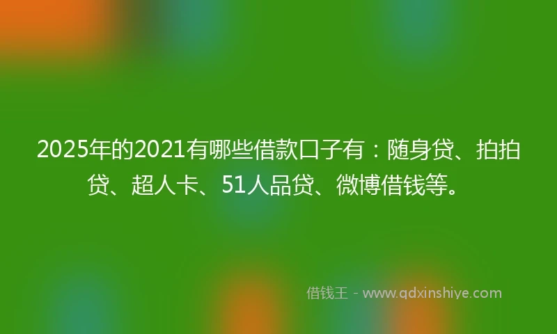 2025年的2021有哪些借款口子有：随身贷、拍拍贷、超人卡、51人品贷、微博借钱等。