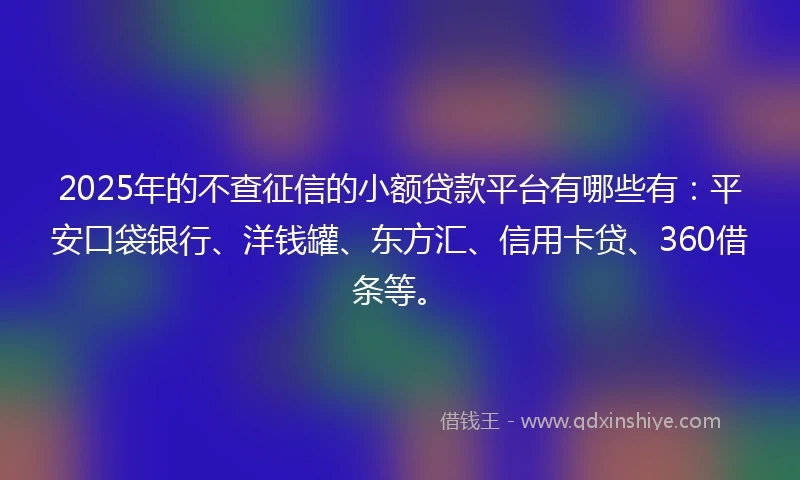 2025年的不查征信的小额贷款平台有哪些有：平安口袋银行、洋钱罐、东方汇、信用卡贷、360借条等。