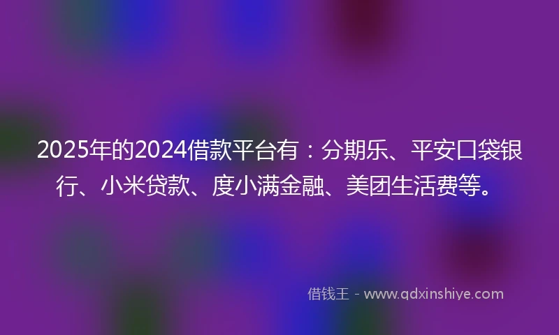 2025年的2024借款平台有：分期乐、平安口袋银行、小米贷款、度小满金融、美团生活费等。