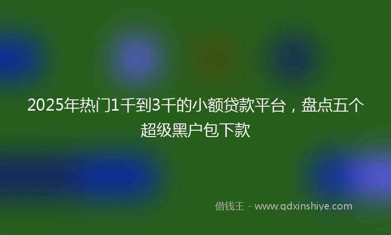 2025年热门1千到3千的小额贷款平台，盘点五个超级黑户包下款