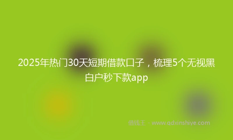 2025年热门30天短期借款口子，梳理5个无视黑白户秒下款app