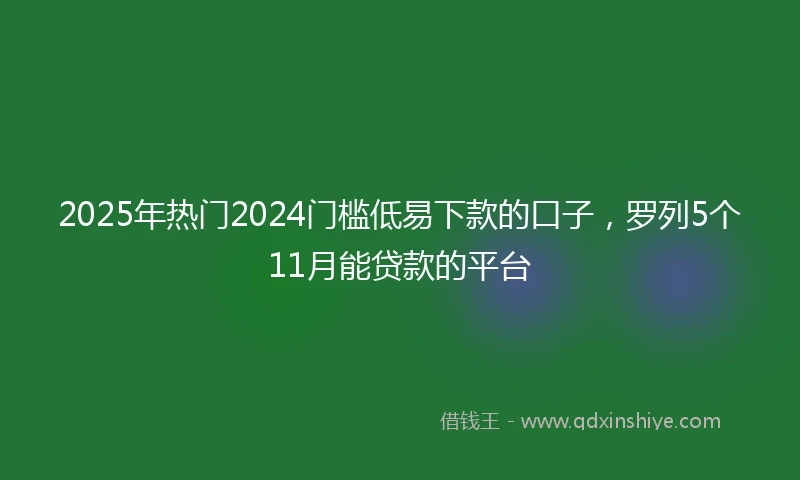 2025年热门2024门槛低易下款的口子，罗列5个11月能贷款的平台