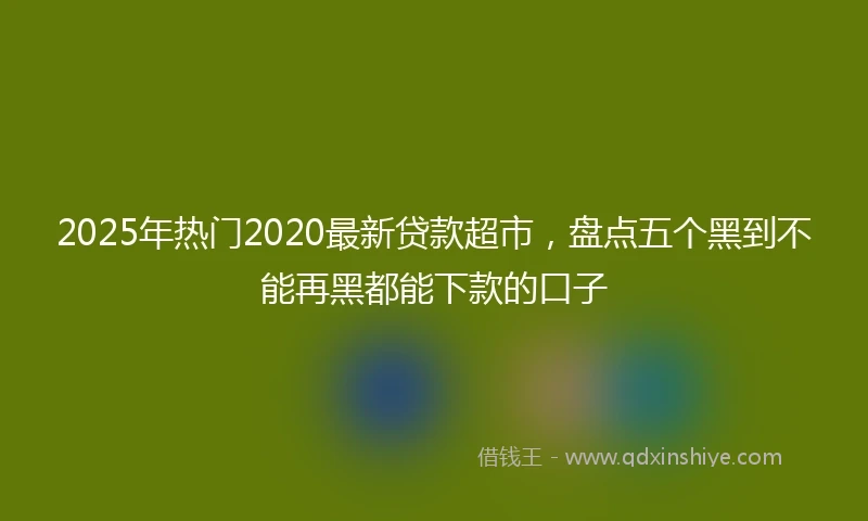 2025年热门2020最新贷款超市，盘点五个黑到不能再黑都能下款的口子