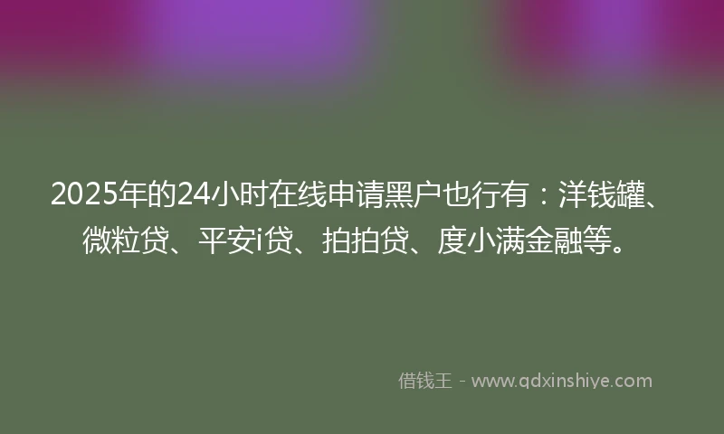 2025年的24小时在线申请黑户也行有：洋钱罐、微粒贷、平安i贷、拍拍贷、度小满金融等。