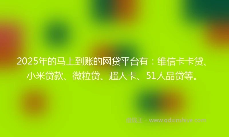 2025年的马上到账的网贷平台有：维信卡卡贷、小米贷款、微粒贷、超人卡、51人品贷等。