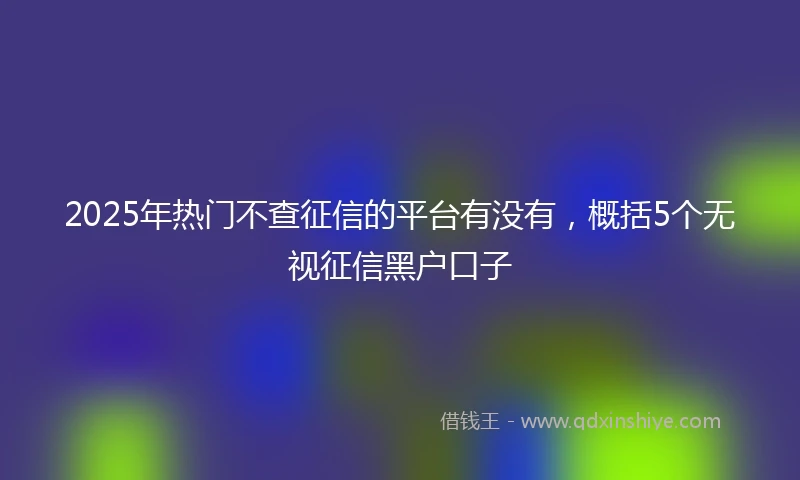2025年热门不查征信的平台有没有，概括5个无视征信黑户口子