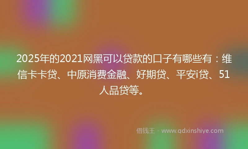 2025年的2021网黑可以贷款的口子有哪些有：维信卡卡贷、中原消费金融、好期贷、平安i贷、51人品贷等。