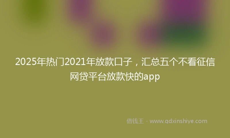 2025年热门2021年放款口子，汇总五个不看征信网贷平台放款快的app