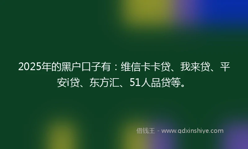 2025年的黑户口子有：维信卡卡贷、我来贷、平安i贷、东方汇、51人品贷等。