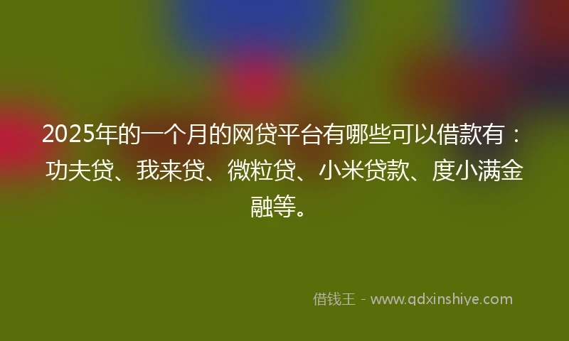 2025年的一个月的网贷平台有哪些可以借款有：功夫贷、我来贷、微粒贷、小米贷款、度小满金融等。