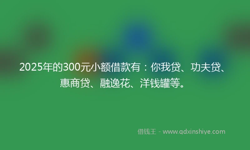 2025年的300元小额借款有：你我贷、功夫贷、惠商贷、融逸花、洋钱罐等。