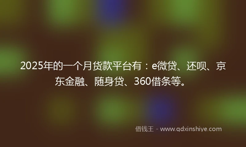 2025年的一个月货款平台有：e微贷、还呗、京东金融、随身贷、360借条等。
