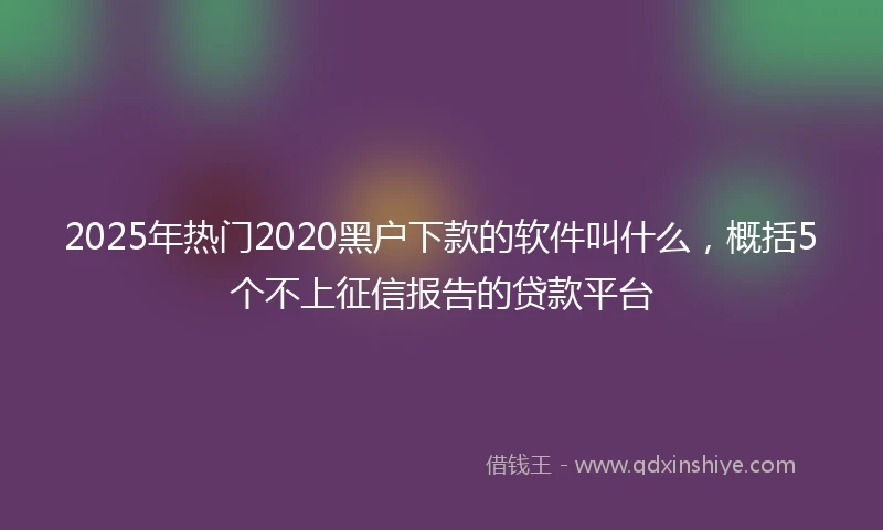 2025年热门2020黑户下款的软件叫什么，概括5个不上征信报告的贷款平台