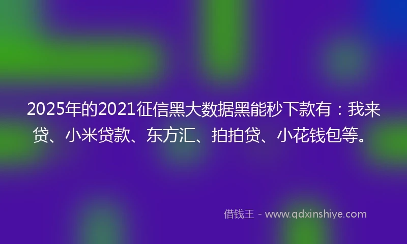 2025年的2021征信黑大数据黑能秒下款有：我来贷、小米贷款、东方汇、拍拍贷、小花钱包等。