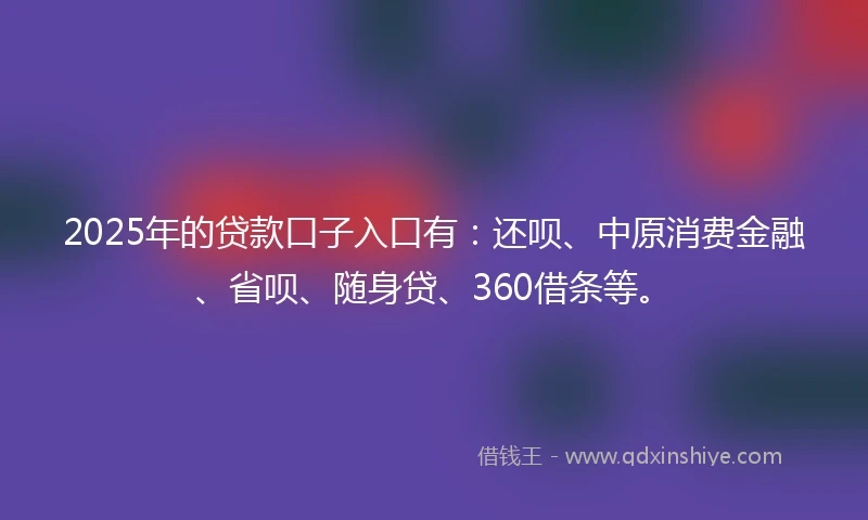 2025年的贷款口子入口有：还呗、中原消费金融、省呗、随身贷、360借条等。