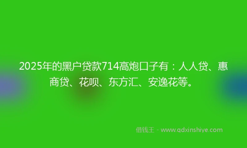 2025年的黑户贷款714高炮口子有：人人贷、惠商贷、花呗、东方汇、安逸花等。