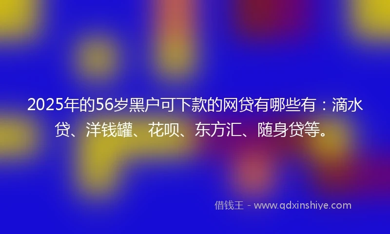 2025年的56岁黑户可下款的网贷有哪些有：滴水贷、洋钱罐、花呗、东方汇、随身贷等。