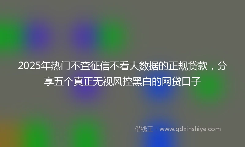 2025年热门不查征信不看大数据的正规贷款，分享五个真正无视风控黑白的网贷口子