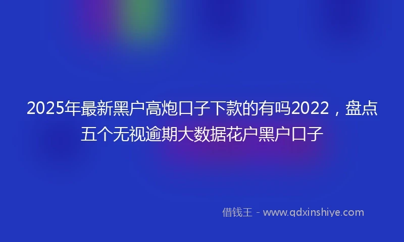 2025年最新黑户高炮口子下款的有吗2022，盘点五个无视逾期大数据花户黑户口子