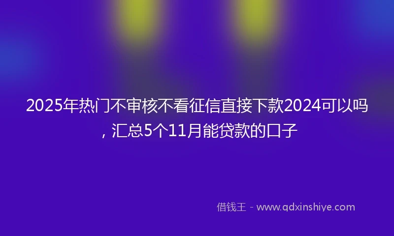 2025年热门不审核不看征信直接下款2024可以吗，汇总5个11月能贷款的口子
