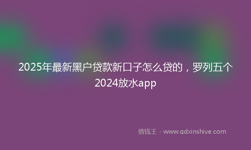 2025年最新黑户贷款新口子怎么贷的，罗列五个2024放水app