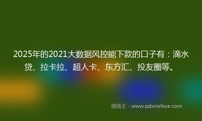 2025年的2021大数据风控能下款的口子有：滴水贷、拉卡拉、超人卡、东方汇、投友圈等。
