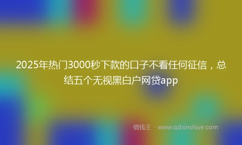 2025年热门3000秒下款的口子不看任何征信，总结五个无视黑白户网贷app