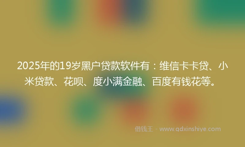 2025年的19岁黑户贷款软件有：维信卡卡贷、小米贷款、花呗、度小满金融、百度有钱花等。