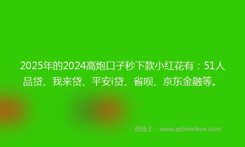 2025年的2024高炮口子秒下款小红花有：51人品贷、我来贷、平安i贷、省呗、京东金融等。