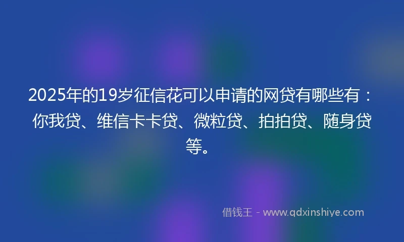 2025年的19岁征信花可以申请的网贷有哪些有：你我贷、维信卡卡贷、微粒贷、拍拍贷、随身贷等。
