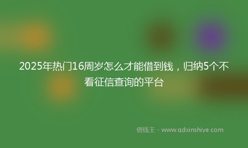 2025年热门16周岁怎么才能借到钱，归纳5个不看征信查询的平台