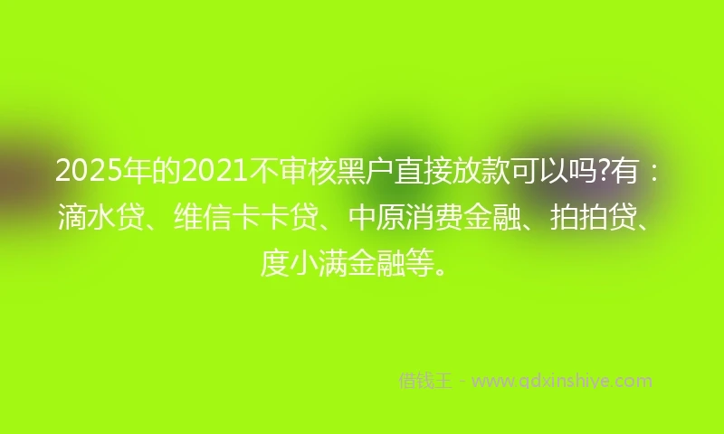 2025年的2021不审核黑户直接放款可以吗?有：滴水贷、维信卡卡贷、中原消费金融、拍拍贷、度小满金融等。