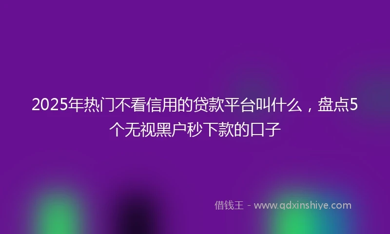 2025年热门不看信用的贷款平台叫什么，盘点5个无视黑户秒下款的口子