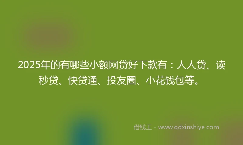 2025年的有哪些小额网贷好下款有：人人贷、读秒贷、快贷通、投友圈、小花钱包等。