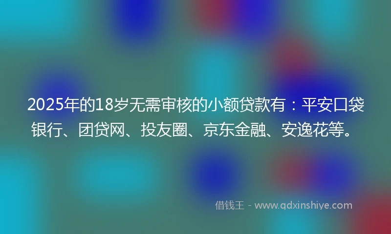 2025年的18岁无需审核的小额贷款有：平安口袋银行、团贷网、投友圈、京东金融、安逸花等。