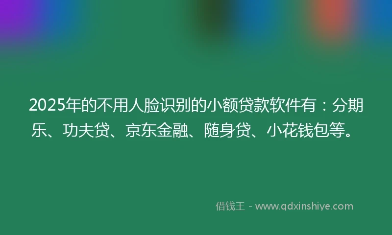 2025年的不用人脸识别的小额贷款软件有：分期乐、功夫贷、京东金融、随身贷、小花钱包等。