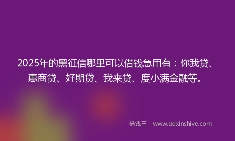 2025年的黑征信哪里可以借钱急用有：你我贷、惠商贷、好期贷、我来贷、度小满金融等。