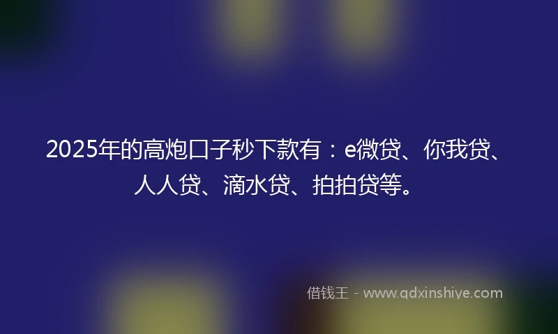 2025年的高炮口子秒下款有：e微贷、你我贷、人人贷、滴水贷、拍拍贷等。