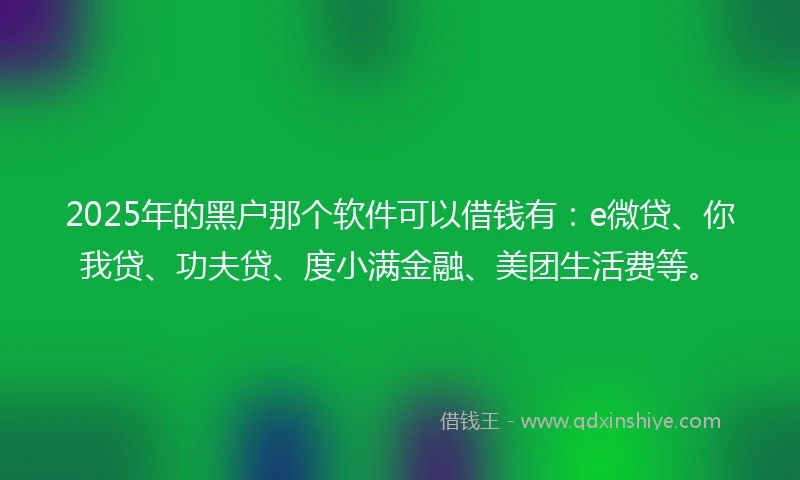 2025年的黑户那个软件可以借钱有：e微贷、你我贷、功夫贷、度小满金融、美团生活费等。