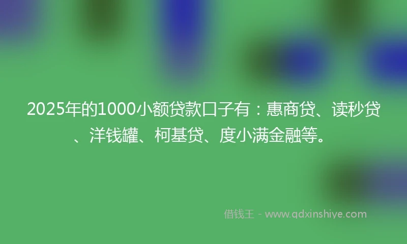 2025年的1000小额贷款口子有：惠商贷、读秒贷、洋钱罐、柯基贷、度小满金融等。