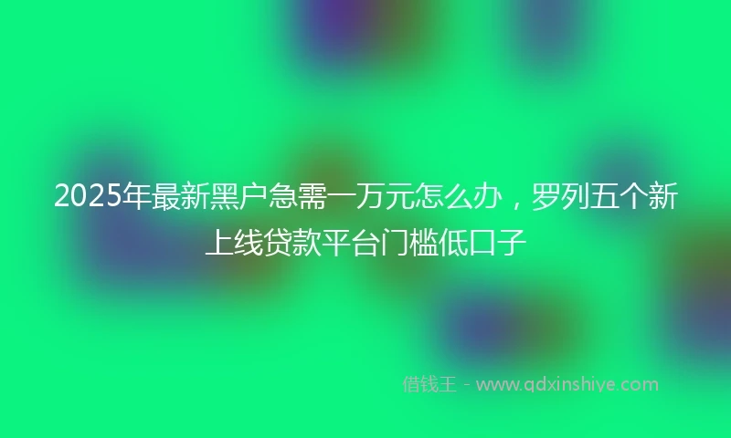 2025年最新黑户急需一万元怎么办，罗列五个新上线贷款平台门槛低口子