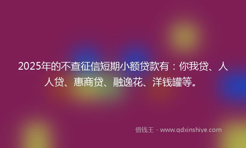 2025年的不查征信短期小额贷款有：你我贷、人人贷、惠商贷、融逸花、洋钱罐等。