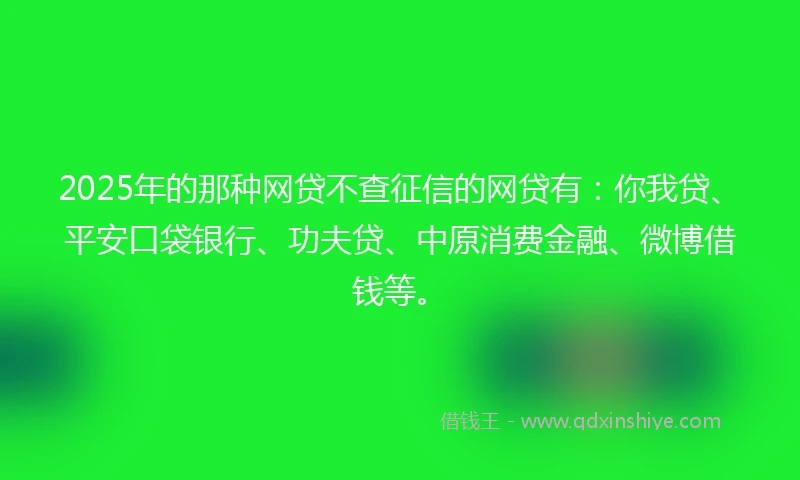 2025年的那种网贷不查征信的网贷有：你我贷、平安口袋银行、功夫贷、中原消费金融、微博借钱等。