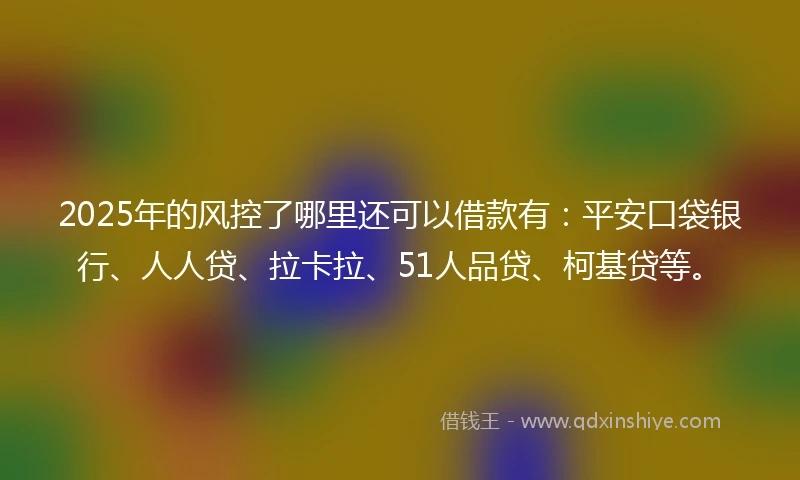 2025年的风控了哪里还可以借款有：平安口袋银行、人人贷、拉卡拉、51人品贷、柯基贷等。