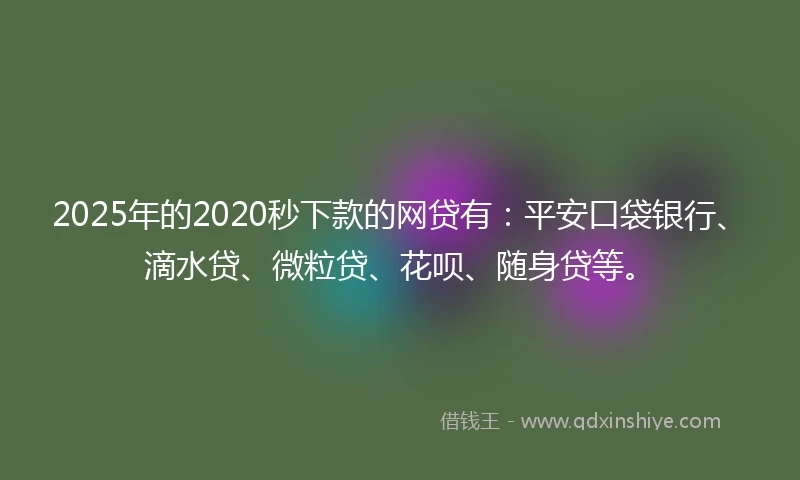 2025年的2020秒下款的网贷有：平安口袋银行、滴水贷、微粒贷、花呗、随身贷等。